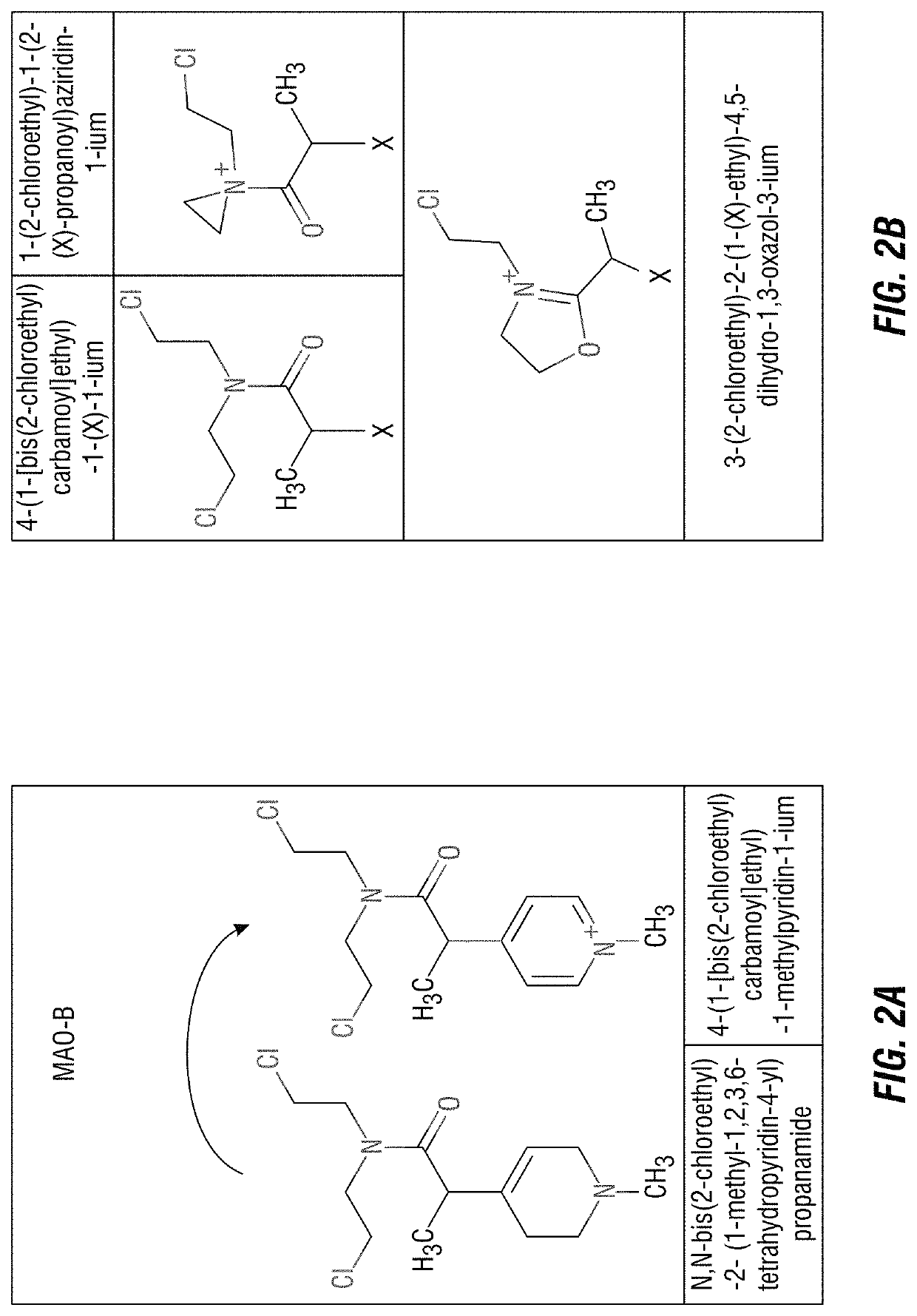 Chemotherapeutic compositions and methods for treating human gliomas