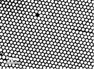 Three-dimensional ordered macroporous alumina and preparation method thereof