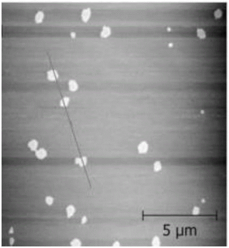 Preparation method and application of carbon nitrogen/titanium dioxide composite material