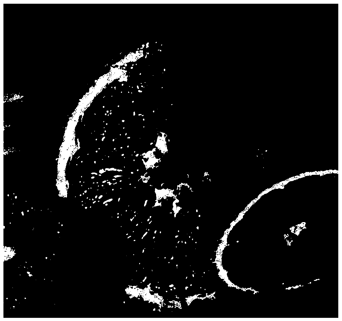 Image anti-counterfeiting method based on color grating