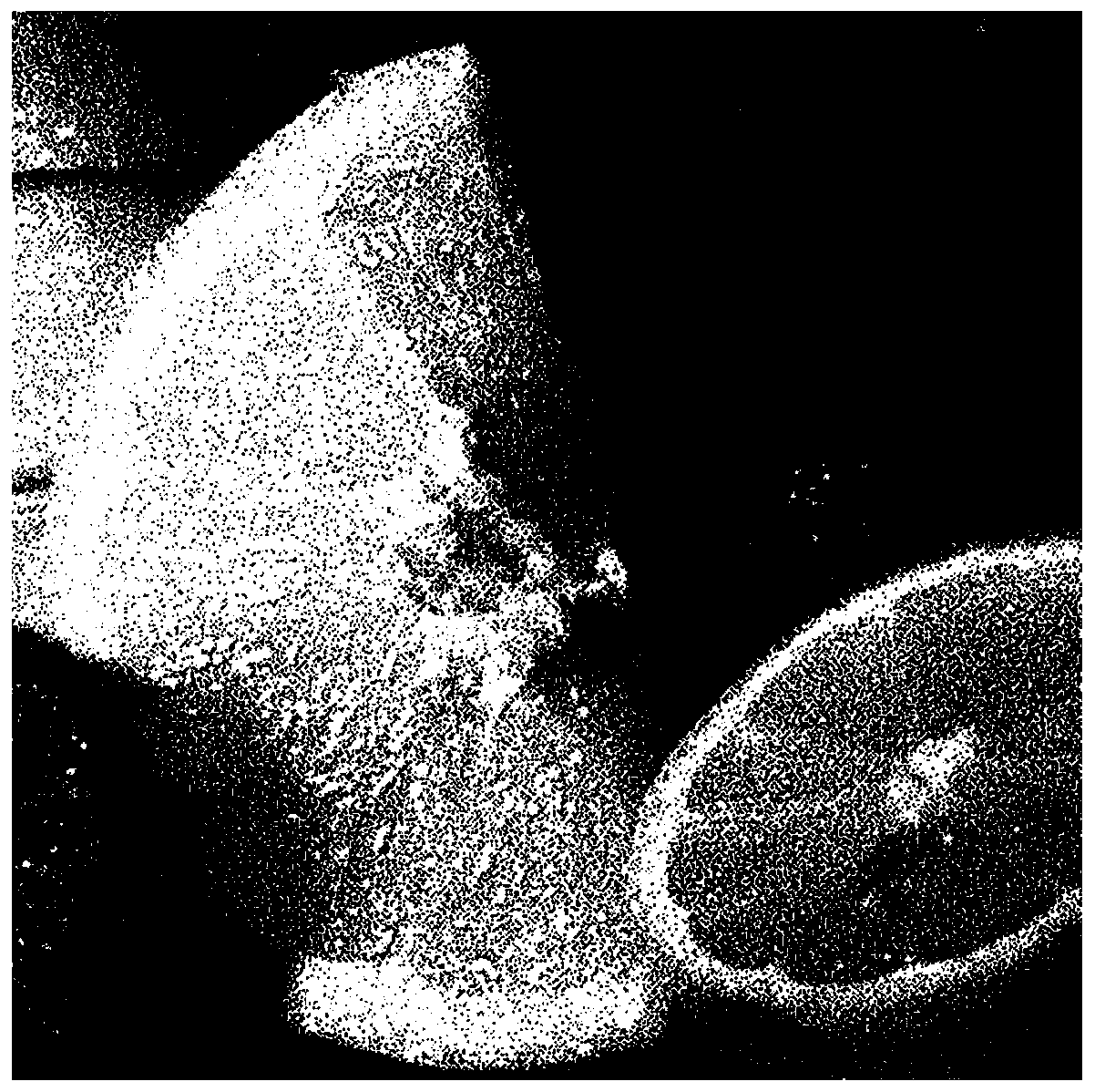 Image anti-counterfeiting method based on color grating