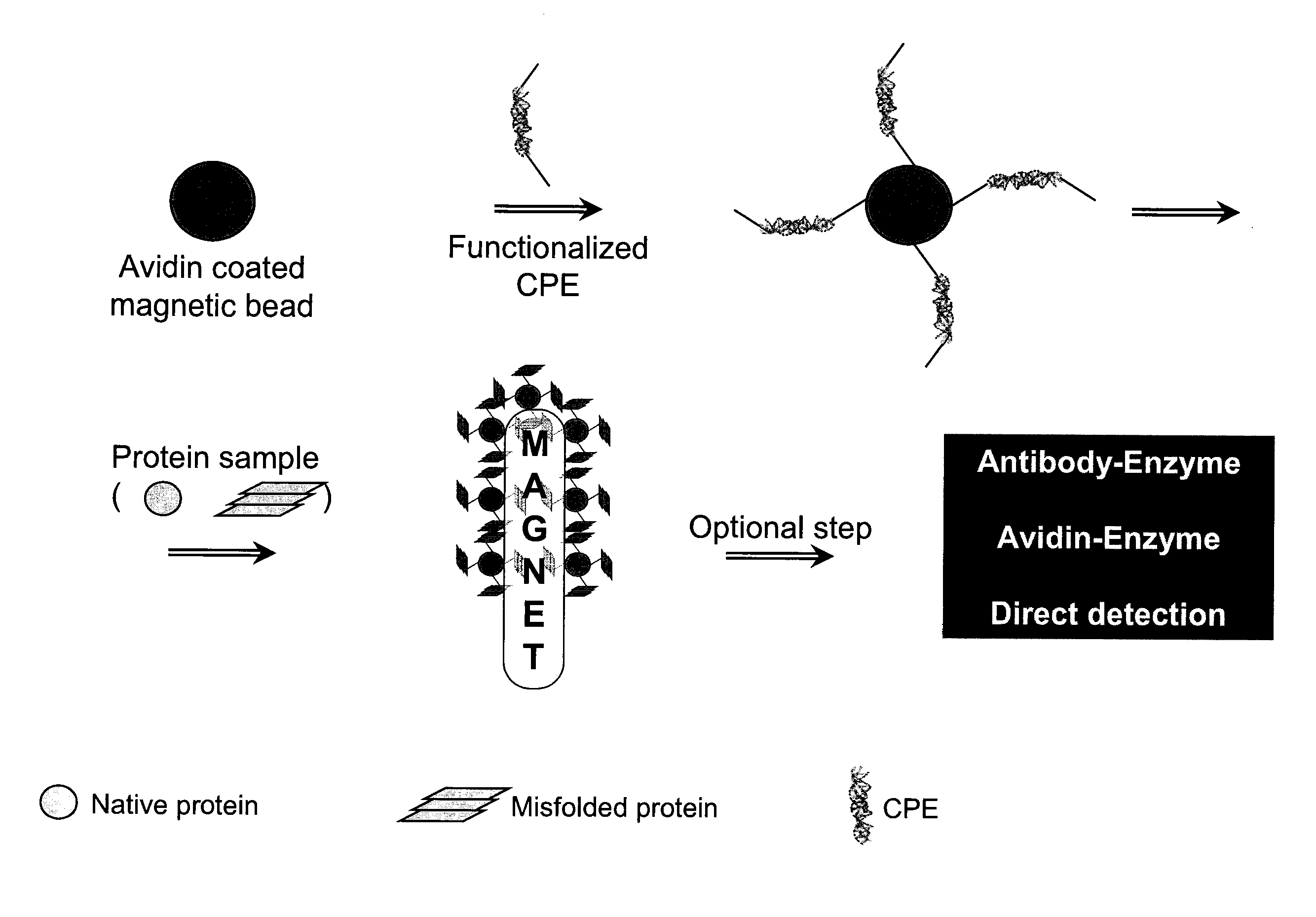 Binding of pathological forms of proteins using conjugated polyelectrolytes