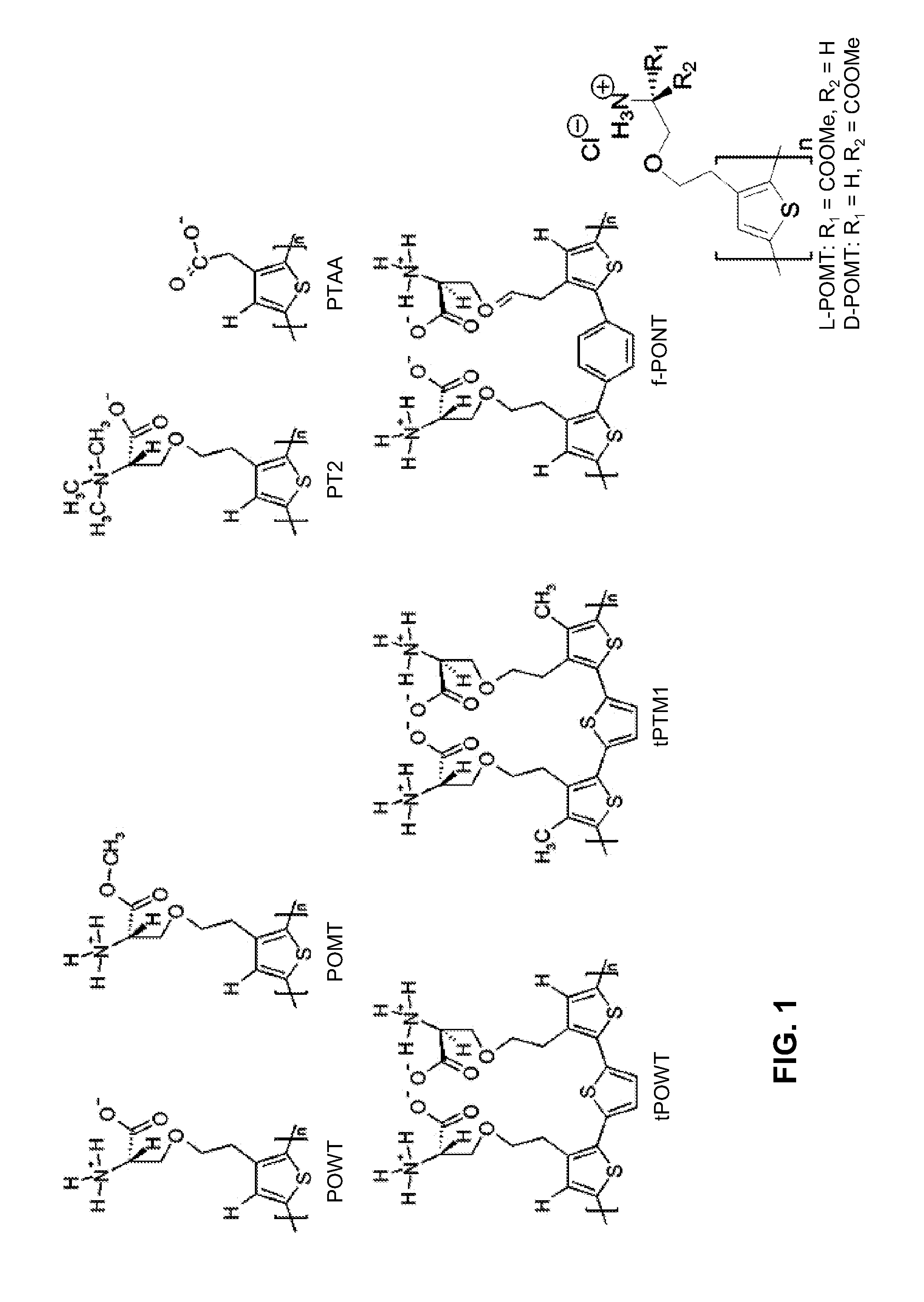 Binding of pathological forms of proteins using conjugated polyelectrolytes