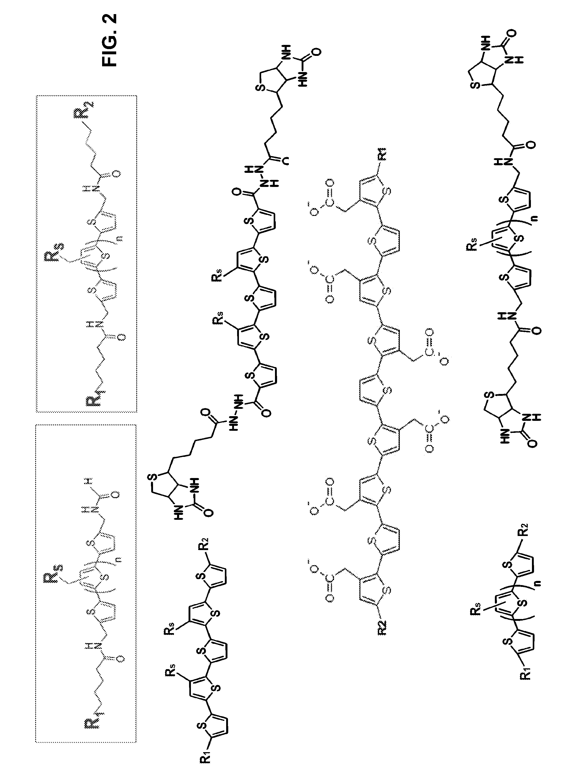 Binding of pathological forms of proteins using conjugated polyelectrolytes