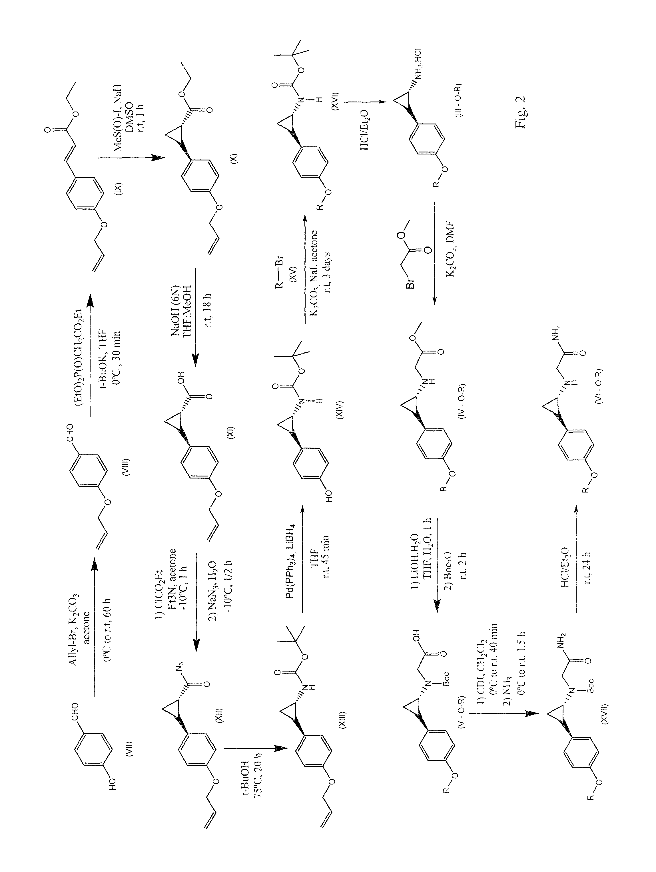 Substituted heteroaryl- and aryl-cyclopropylamine acetamides and their use