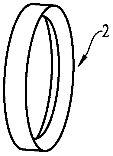 Developing roller and developing box