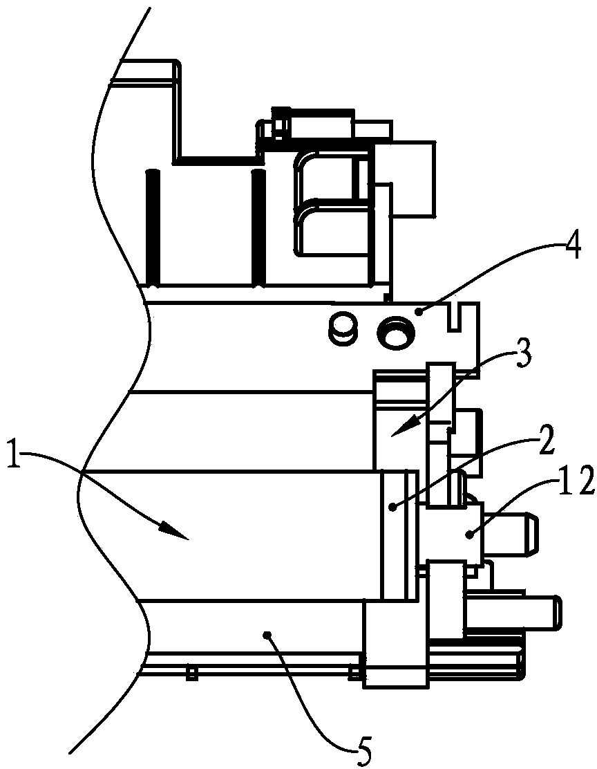 Developing roller and developing box