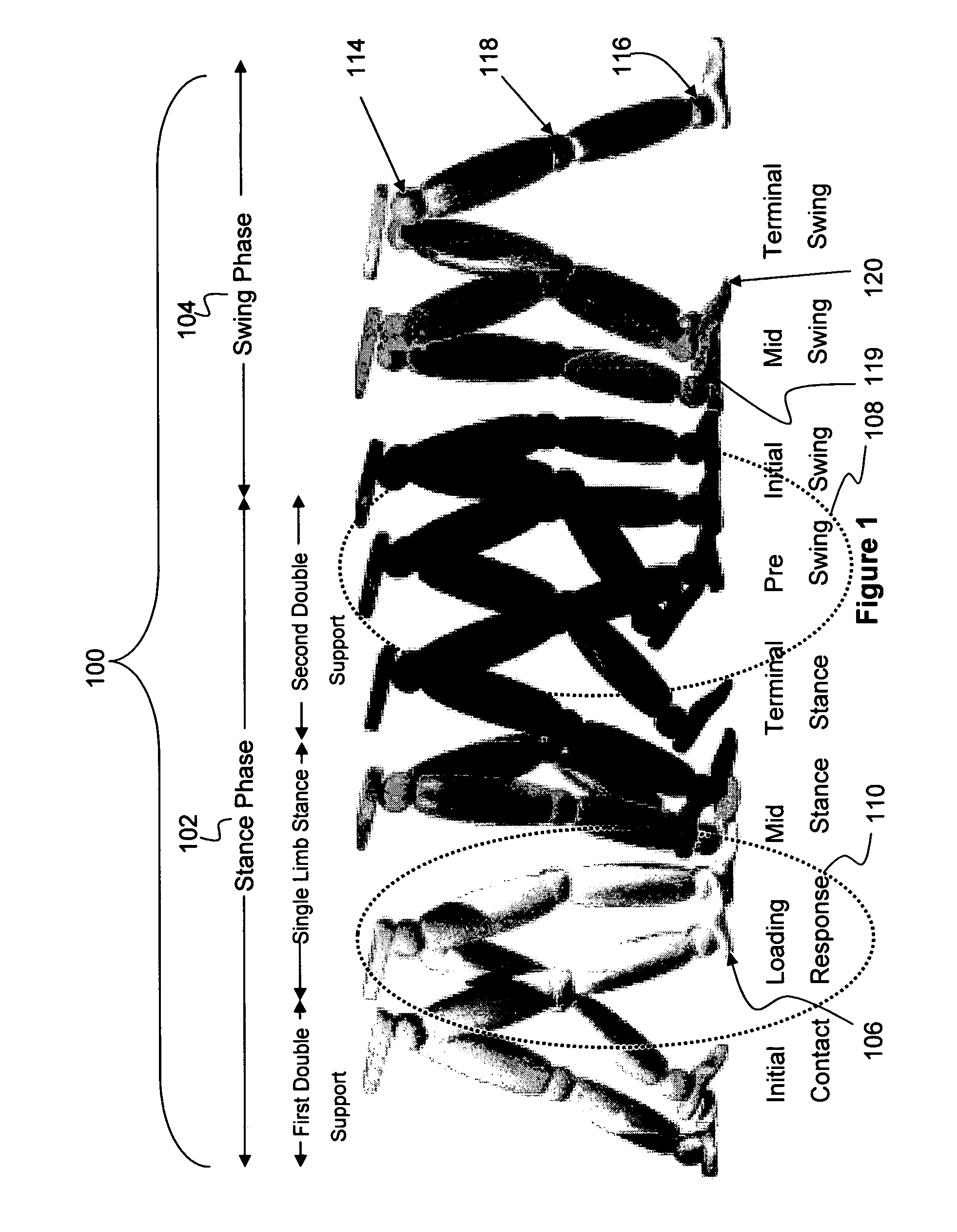 Passive exoskeleton