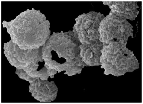 Hollow core-shell structure catalyst for catalytic oxidation of nitrogen oxide and preparation method of hollow core-shell structure catalyst