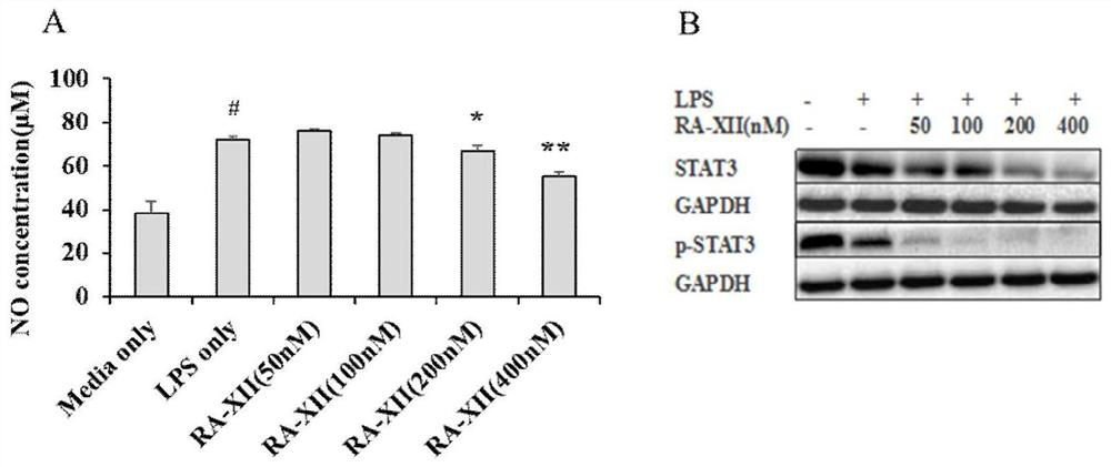 Pharmaceutical application of bicyclic cyclic hexapeptide glycoside compound