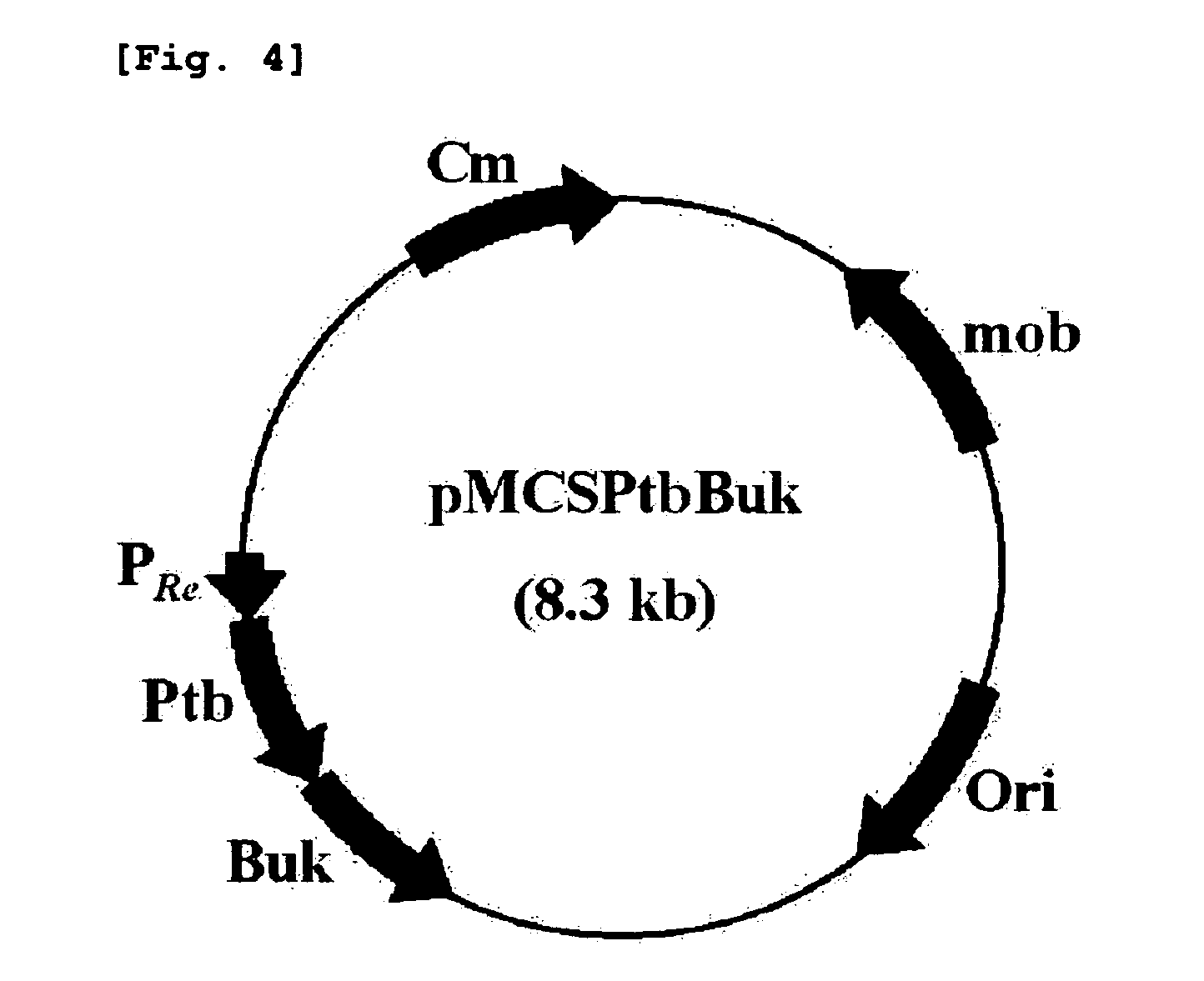 Copolymer comprising 4-hydroxybutyrate unit and lactate unit and its manufacturing method