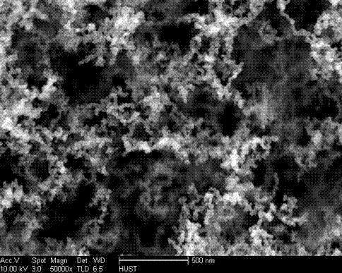 Preparation method of flexible carbon nanoparticle and application of method