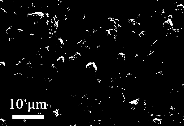 Graphene/graphene oxide coat composite electrode, battery and preparation method thereof