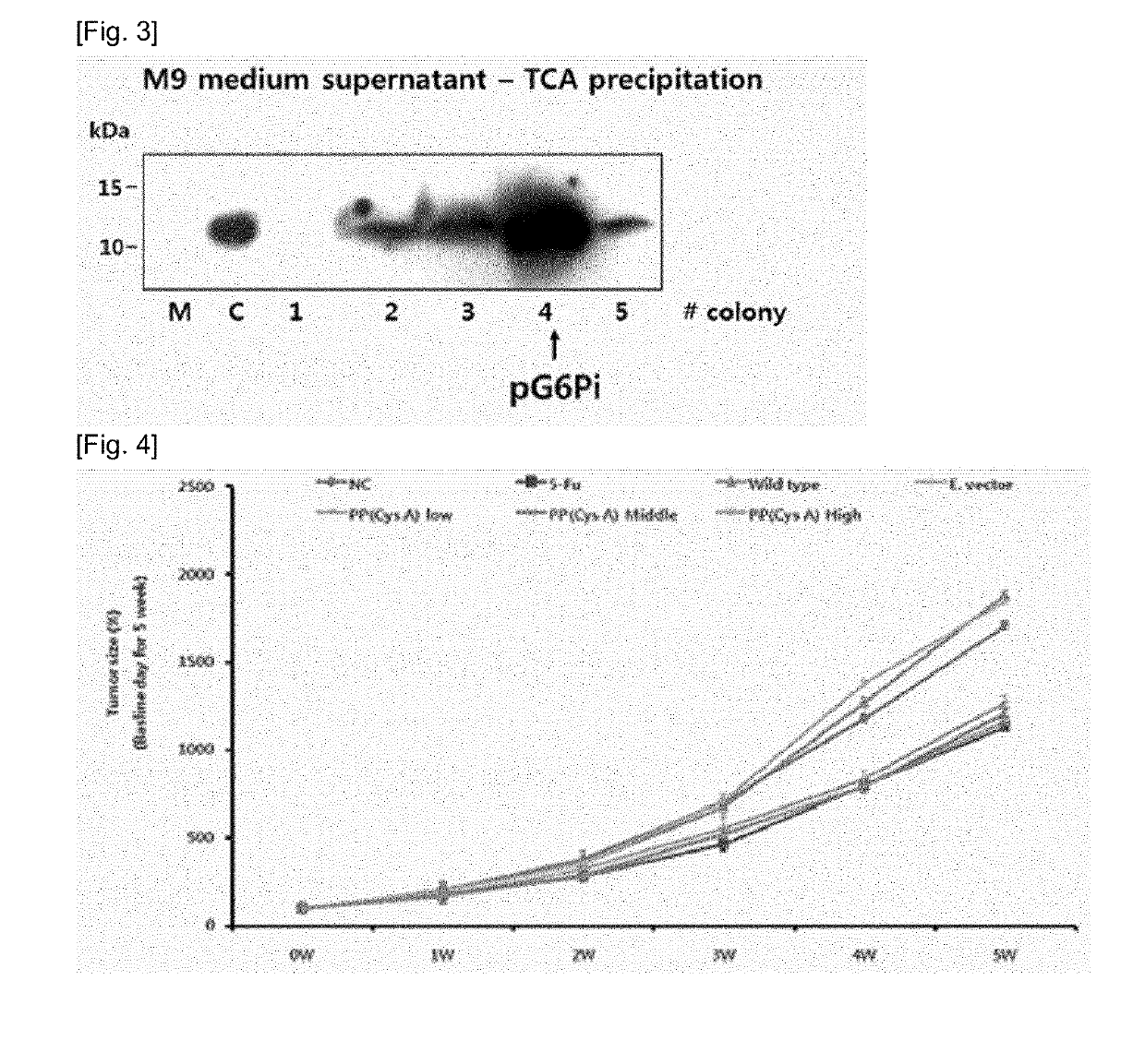 Microorganism for delivering drug for treatment of gastrointestinal disease, which expresses and secretes cystatin, and pharmaceutical composition for preventing or treating gastrointestinal disease, which includes the same