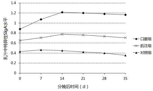 Porcine epidemic diarrhea virus vaccine and preparation method thereof