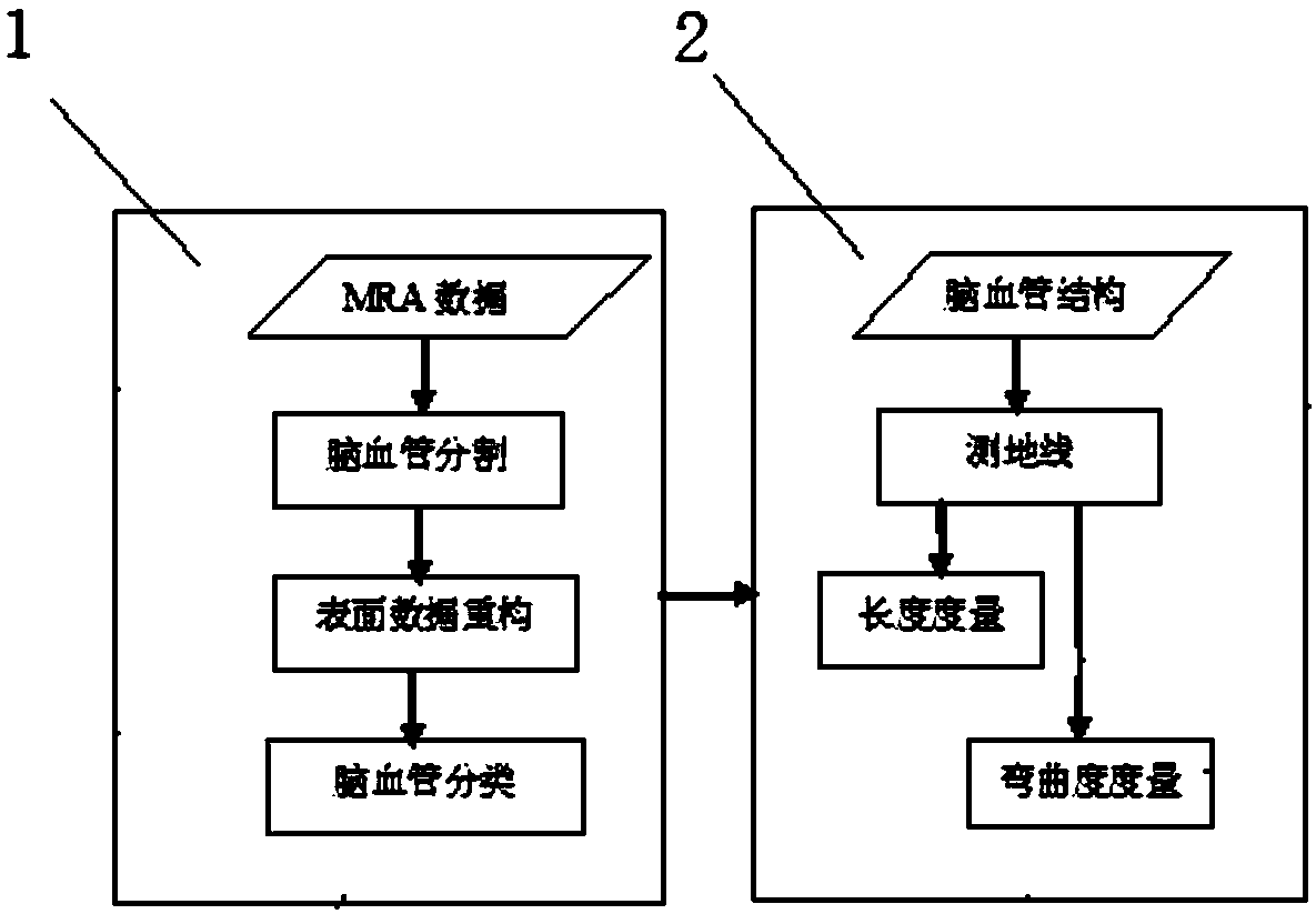 Cerebral Vessel Length and Curvature Measurement Method Based on Geodesics