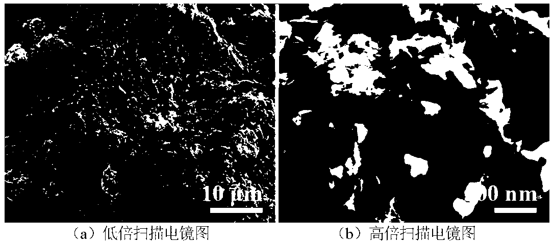 Lithium-sulfur battery material based on waste cigarette end biomass resources and preparation method thereof