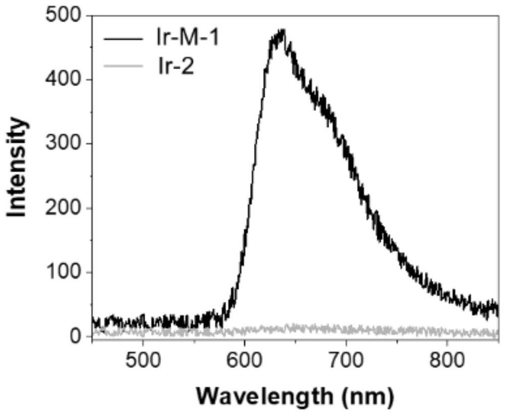 Iridium complex-based double-metal-center radiodynamic drug and preparation method thereof