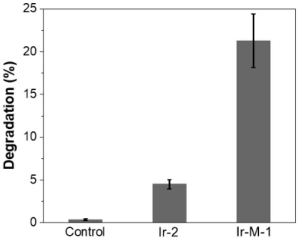 Iridium complex-based double-metal-center radiodynamic drug and preparation method thereof