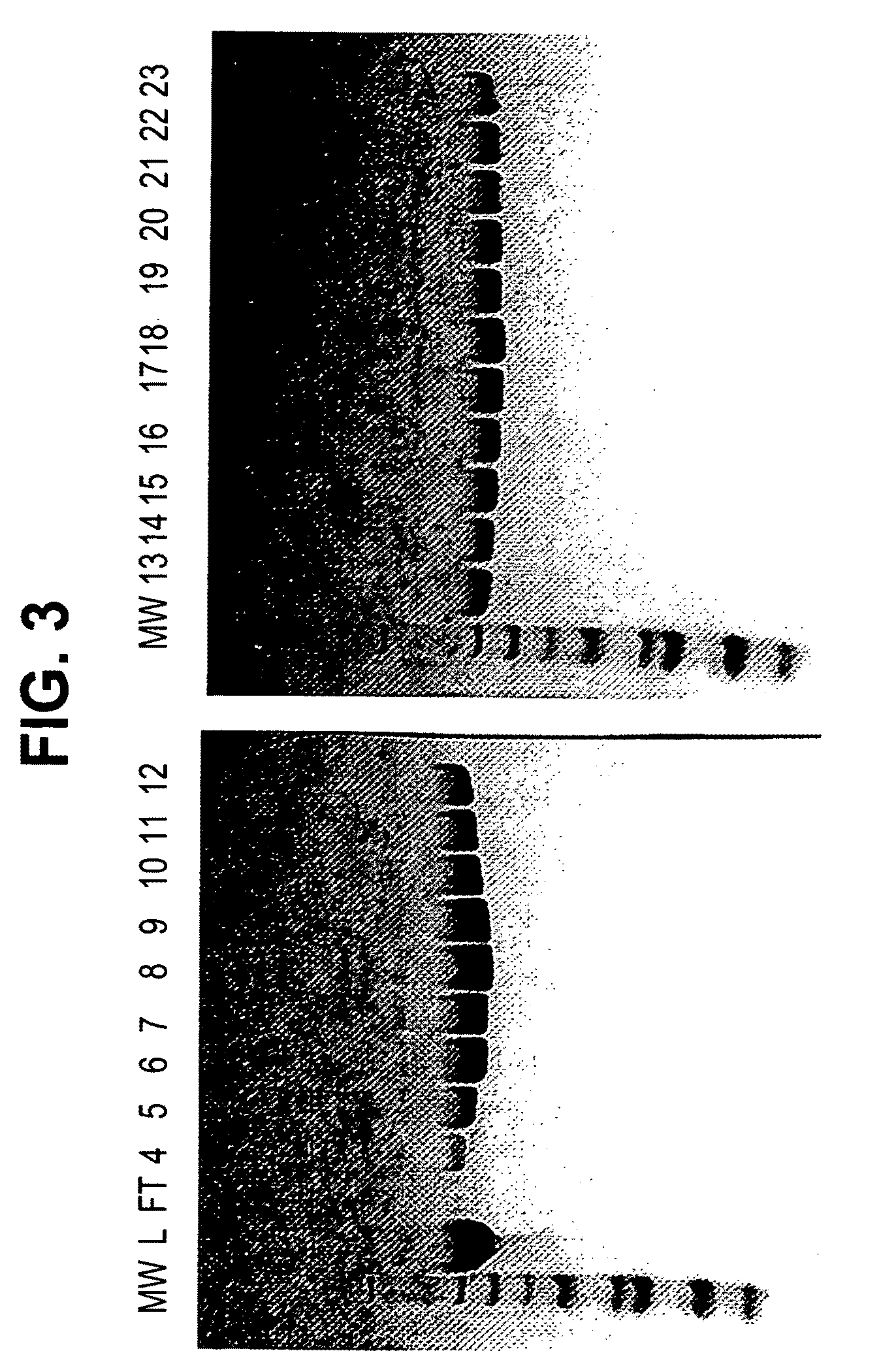 PYY Agonists and Uses Thereof