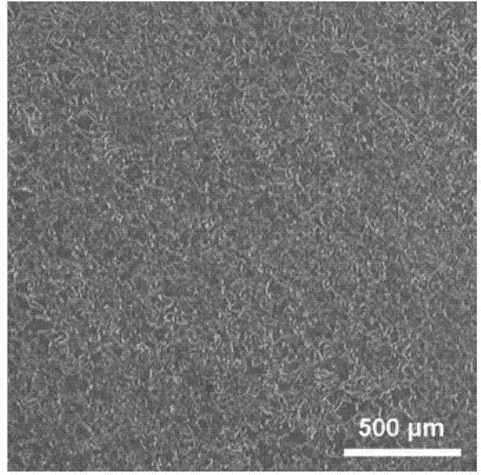 Surface modification method of magnesium alloy