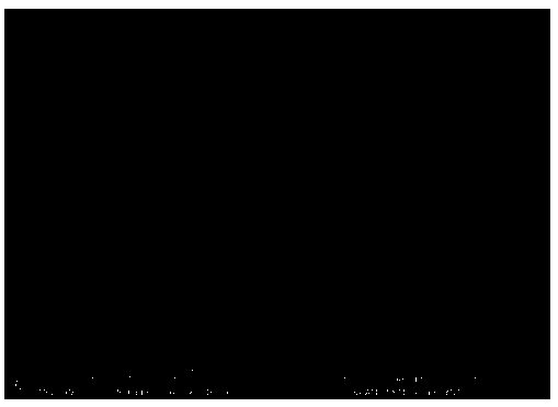 Preparation method and application for bismuth titanate nanosheet