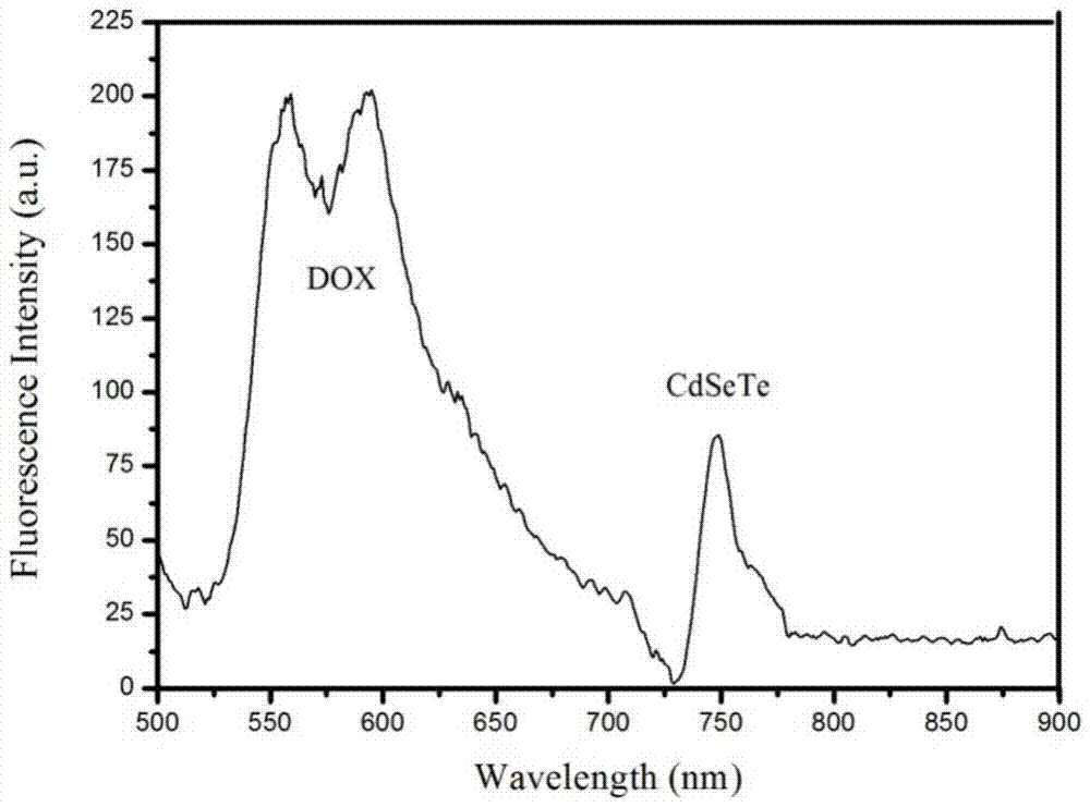 Thermosensitive liposome capable of conducting magnetic-heat release