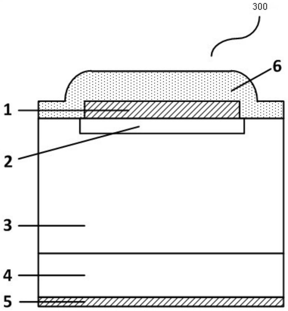 Plasma processing method and application thereof