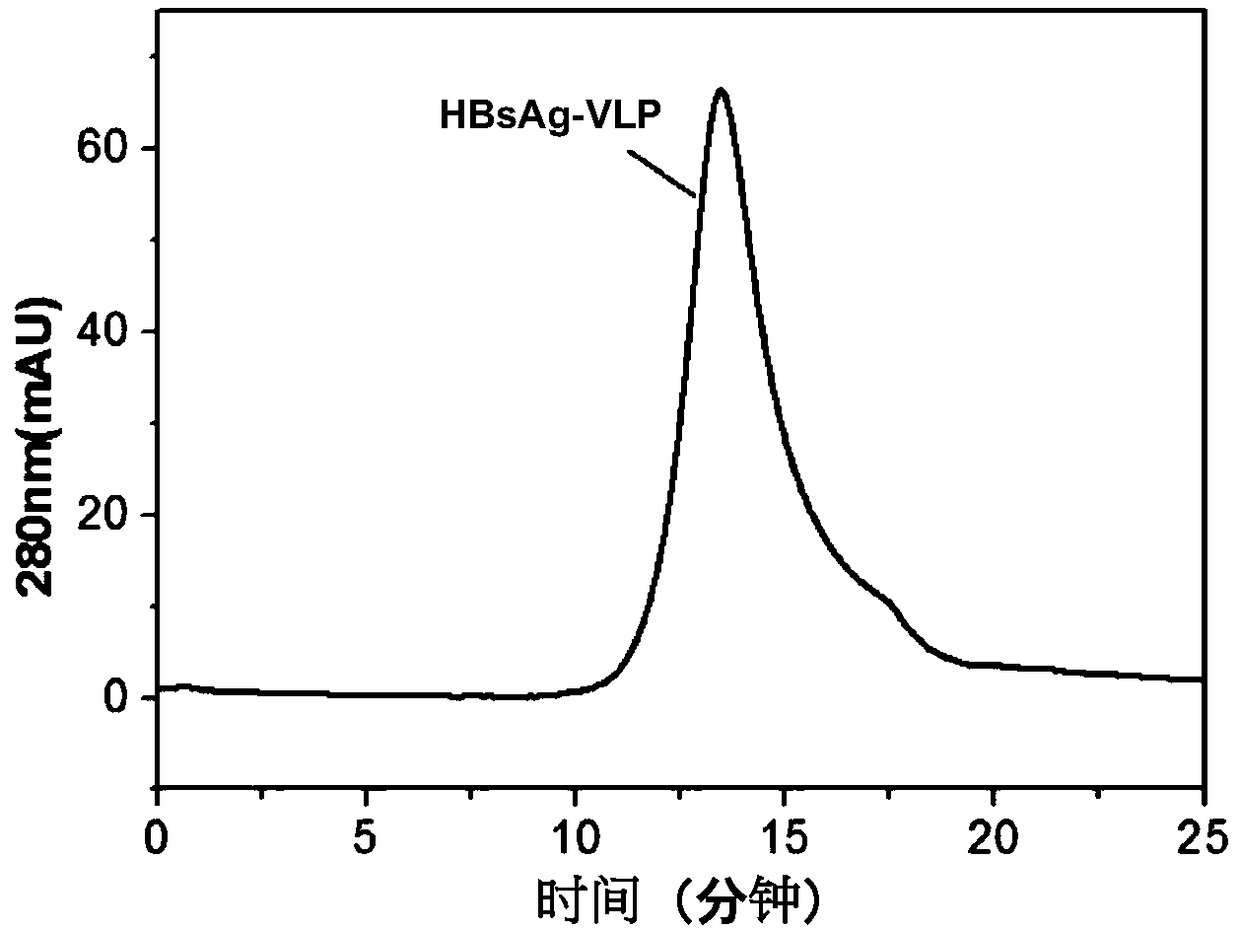 Vaccine antigen composition and preparation method thereof