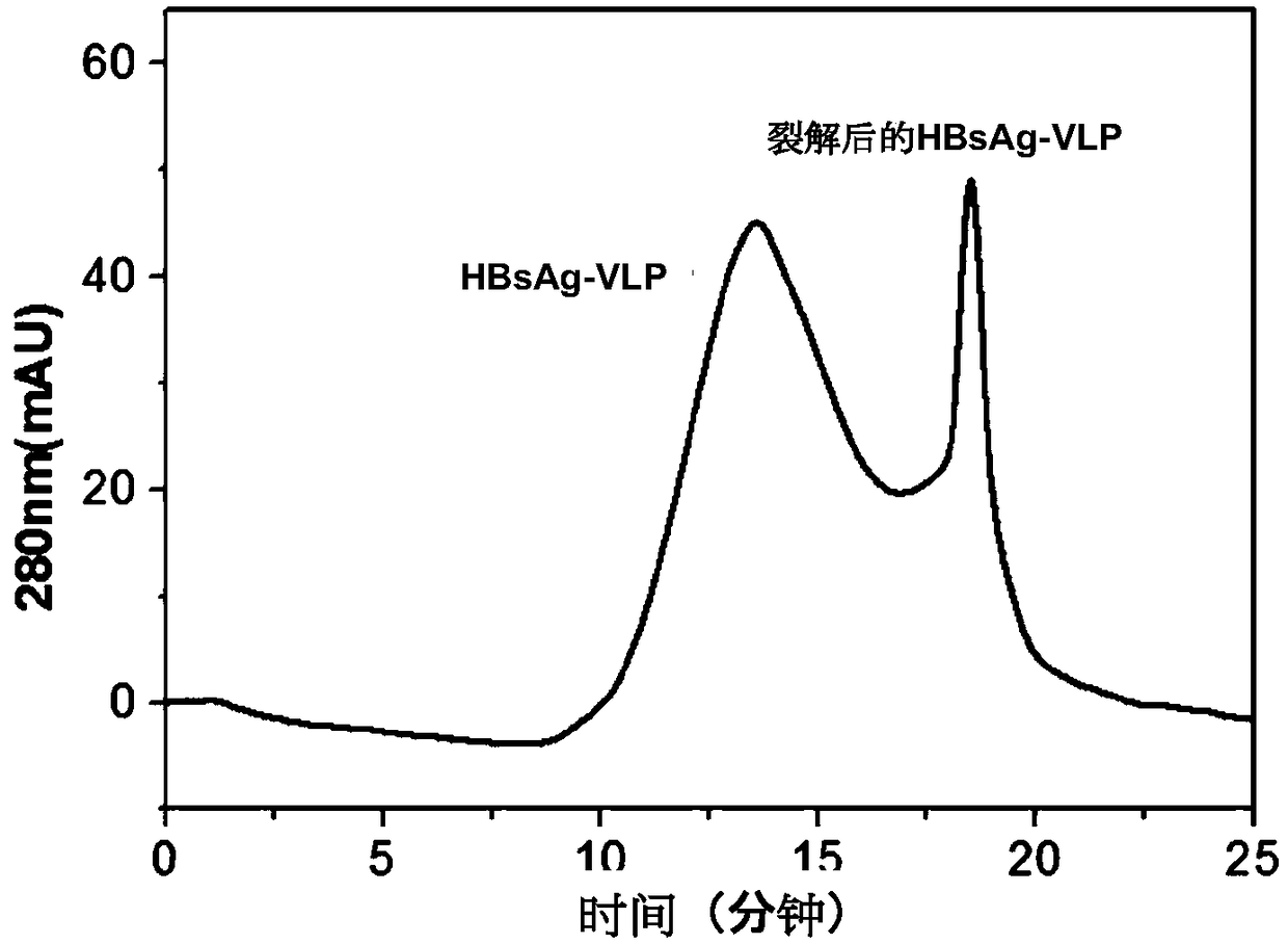 Vaccine antigen composition and preparation method thereof