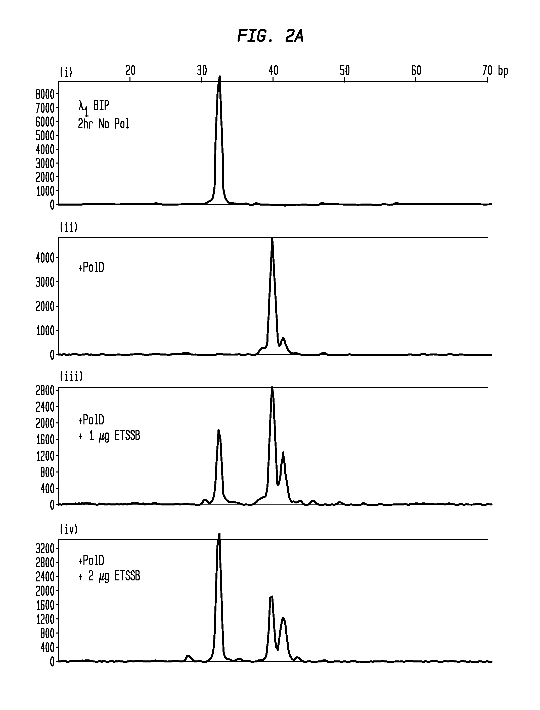 Reducing template independent primer extension and threshold time for loop mediated isothermal amplification