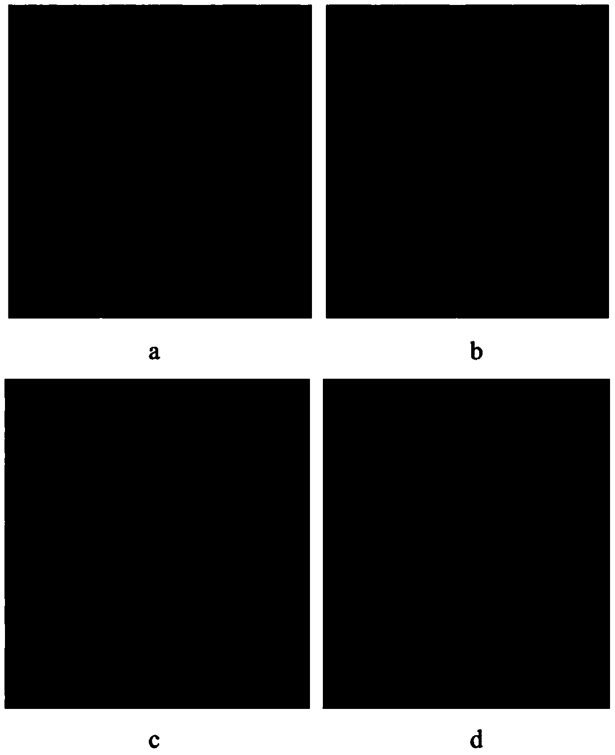 Abiraterone inclusion compound tablet and preparation method thereof