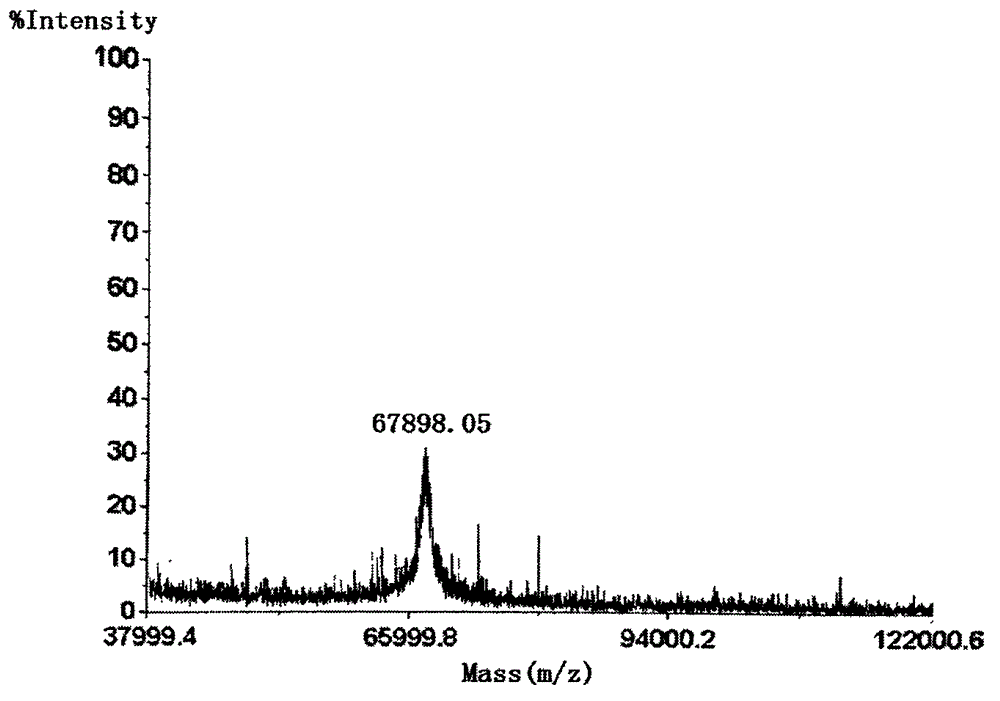 Synthetic method of urethane artificial antigen