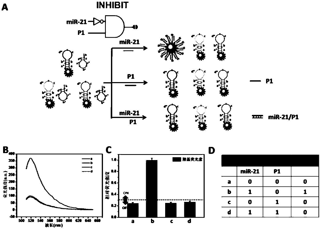 Synthesis and application of reconfigurable molecular logic gate based on magnetic nanospheres