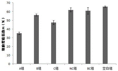 siRNA that inhibits er81 gene expression and its application in breast cancer cells