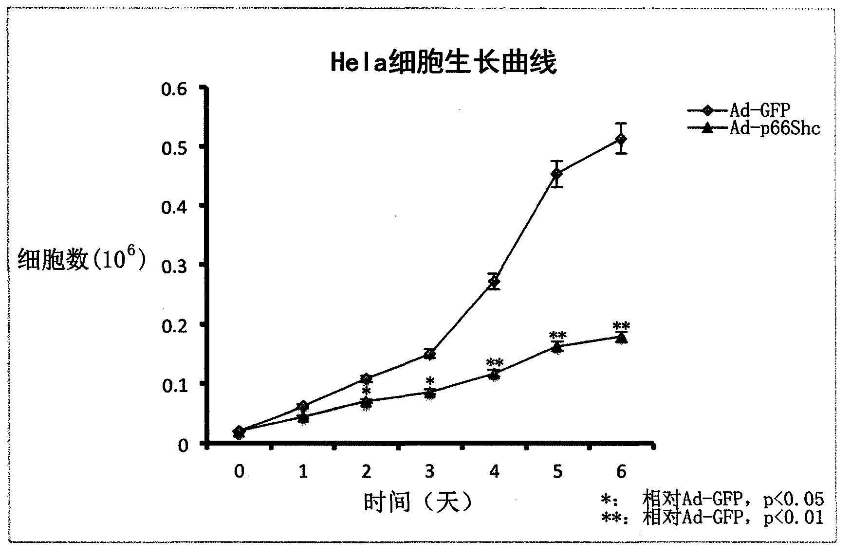 p66shc recombinant adenovirus vector as well as construction and application thereof