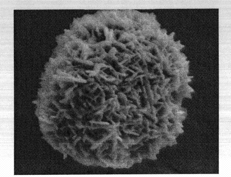 Preparation method of lanthanum-doped zinc oxide microsphere with wave absorbing performance