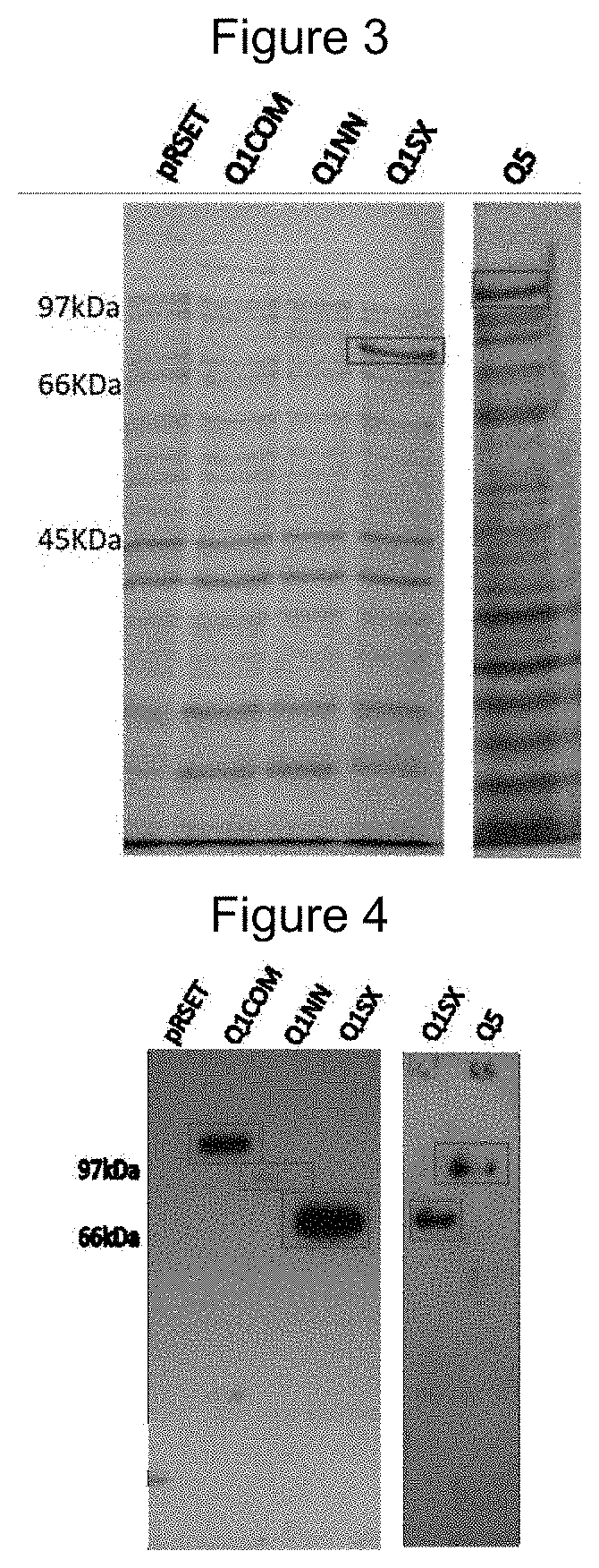 Chimeric protein, method of production and use thereof, and also a nucleic acid molecule, expression cassette, expression vector, host cell, composition for the diagnosis of leishmaniasis, kit for the diagnosis of leishmaniasis and method of diagnosis of leishmaniasis in vitro