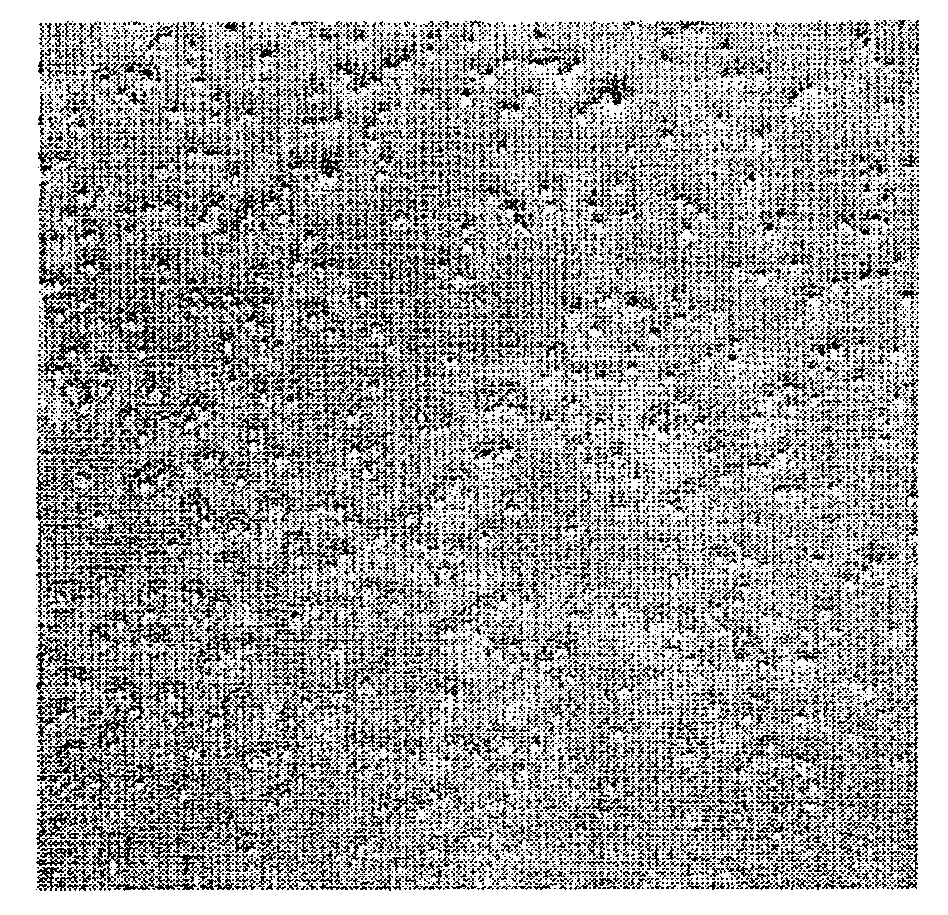 Transparent Conductive Laminate and Transparent Touch Panel Comprising the Same