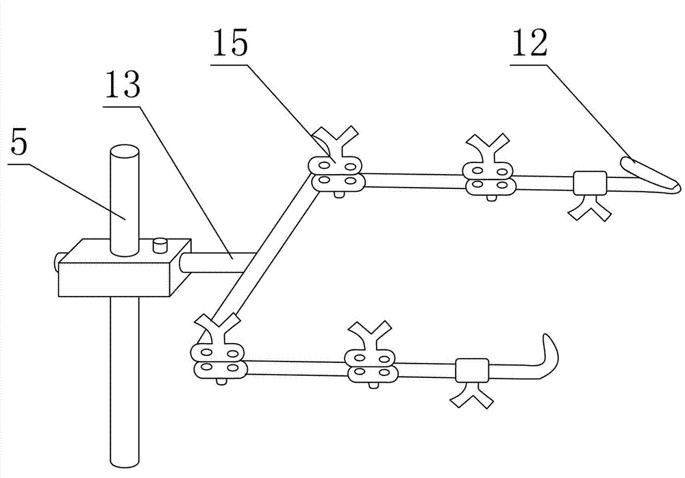 Animal operation or dissection workbench