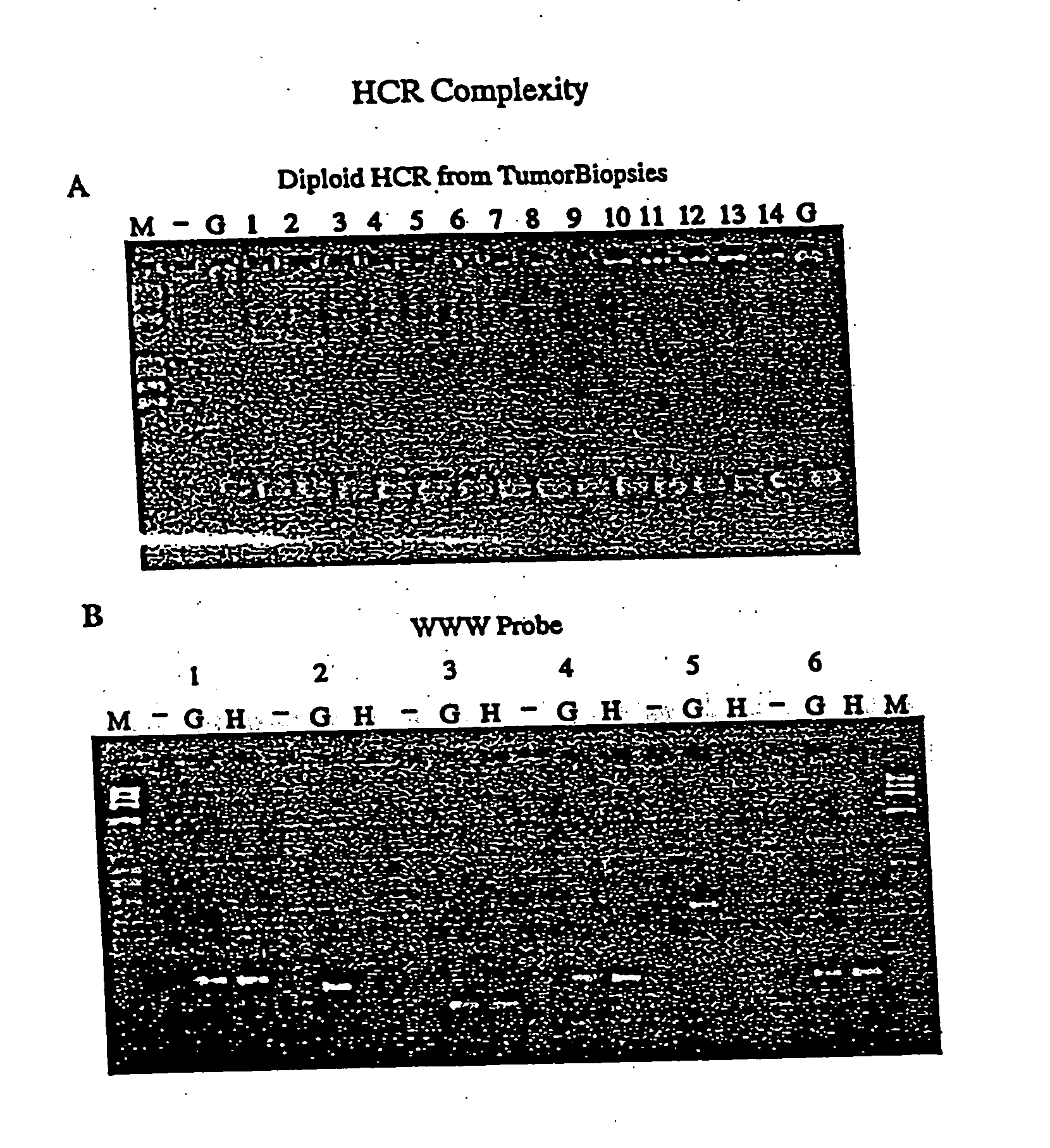 Use of representations of DNA for genetic analysis