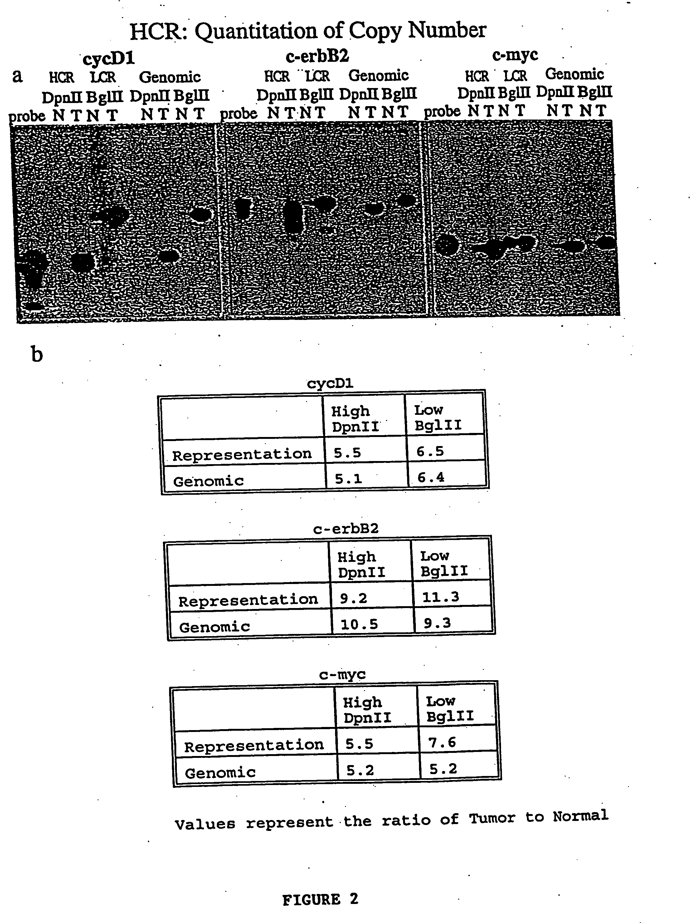 Use of representations of DNA for genetic analysis