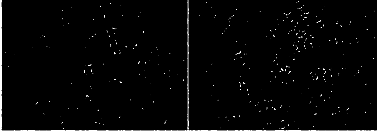 High-strength sulfur-oxygen nucleating agent