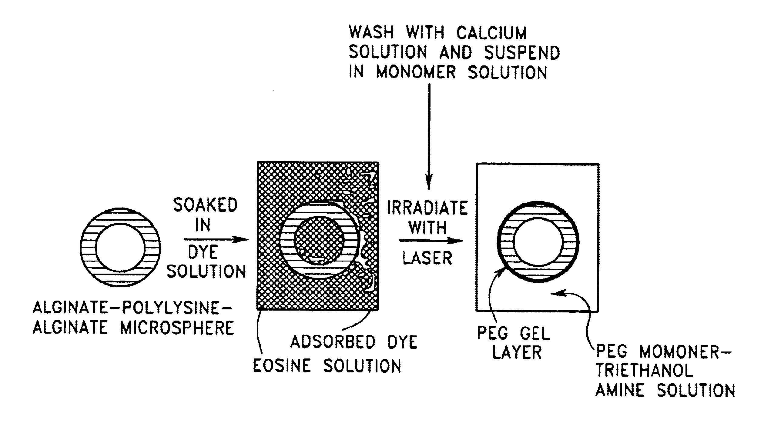 Gels for encapsulation of biological materials