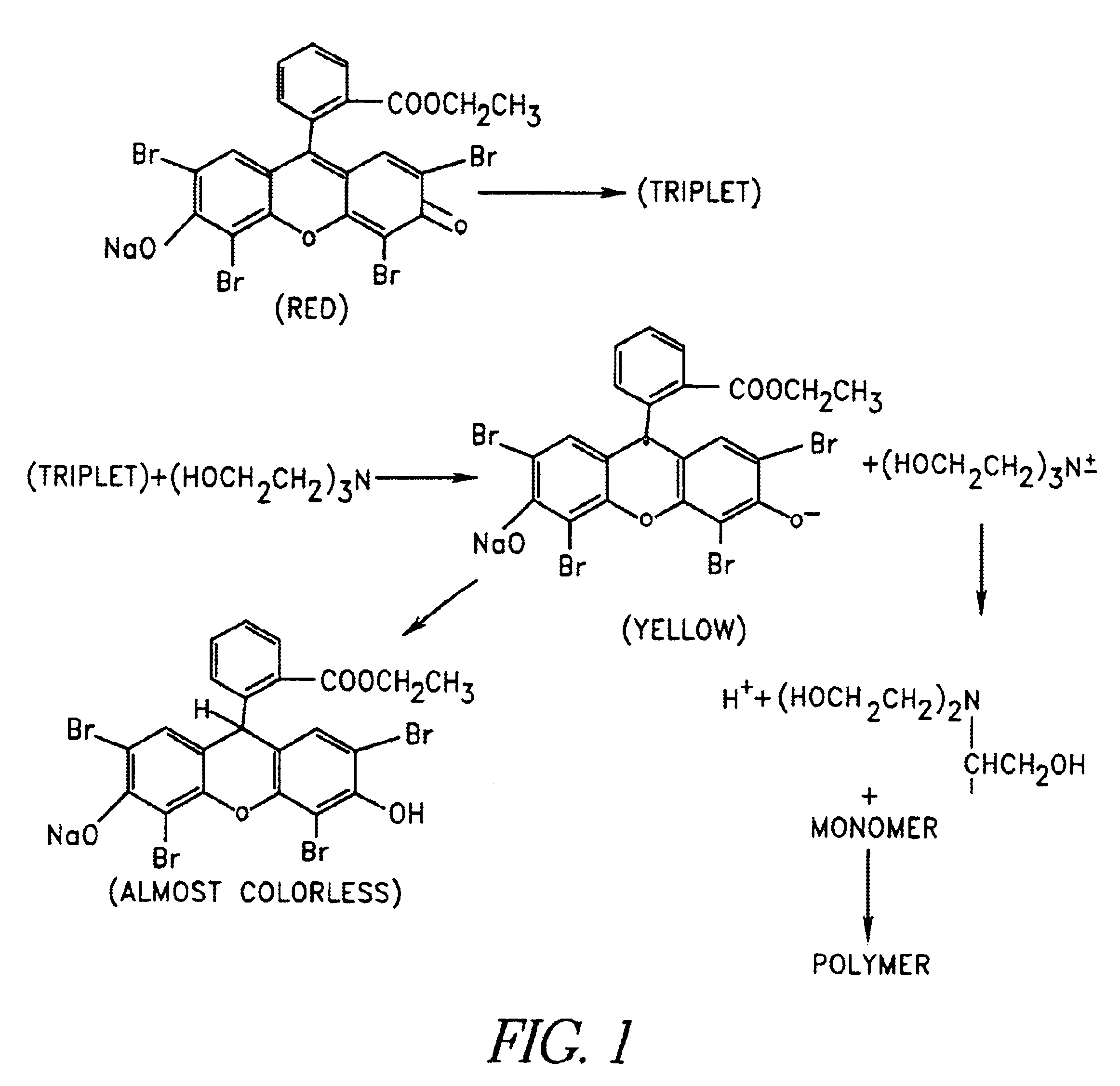 Gels for encapsulation of biological materials