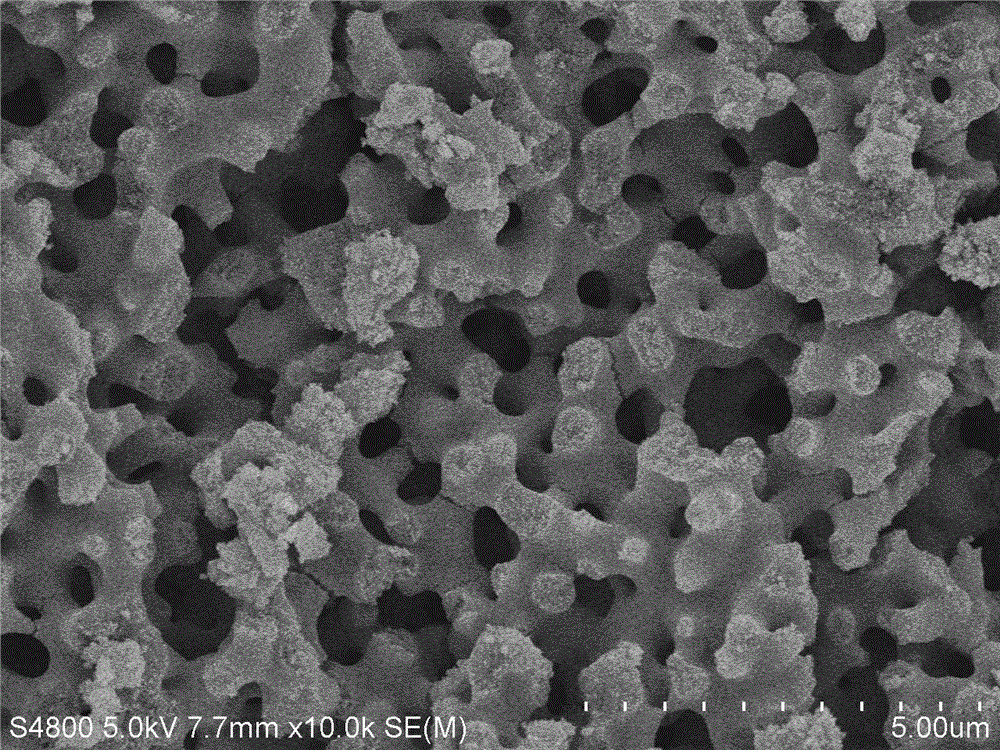 Preparation method for nitrogen-doped TiO2 (titanium dioxide) powder of reticulated porous structure