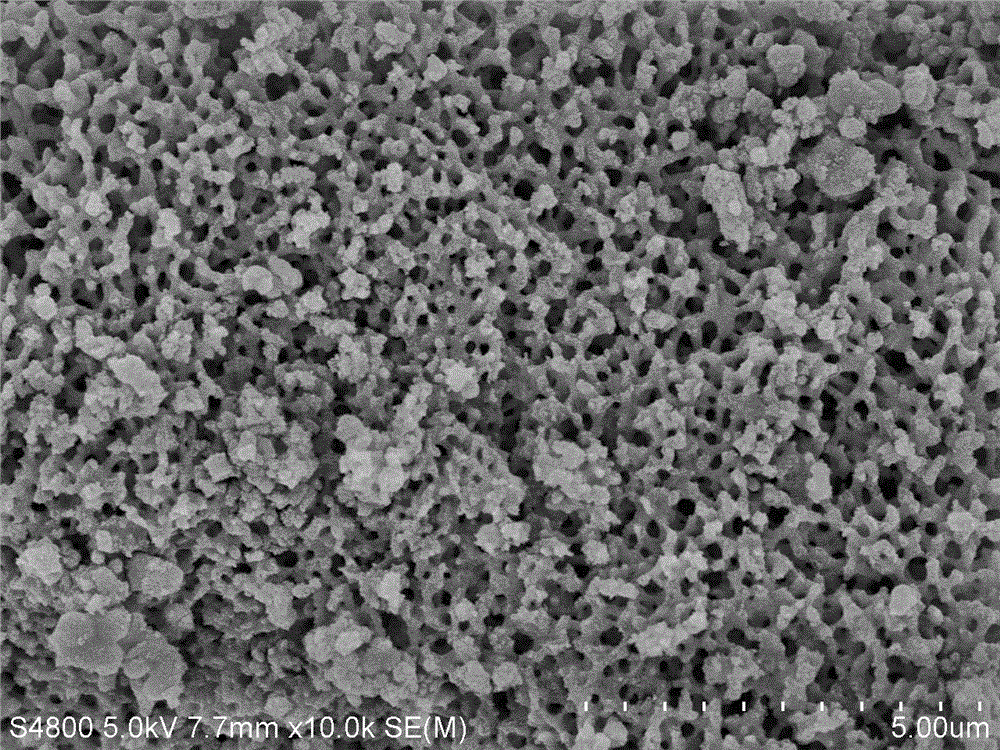 Preparation method for nitrogen-doped TiO2 (titanium dioxide) powder of reticulated porous structure