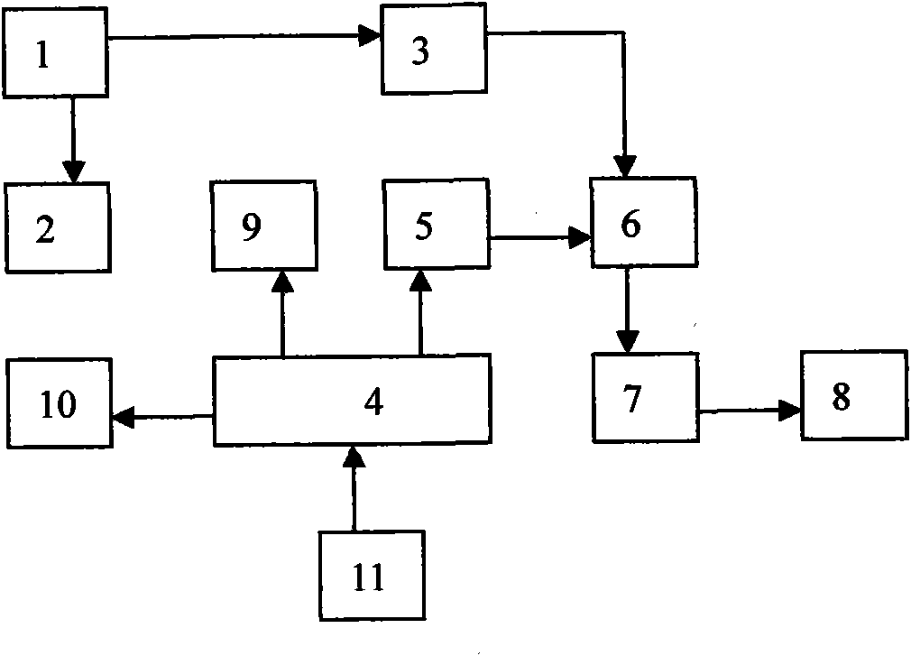 Near infrared ray biological pulse therapeutic apparatus