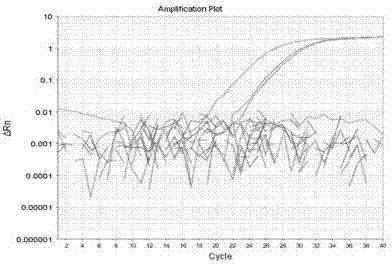 Primer probe, kit and method for accurate and quantitative detection of specific gene component of transgenic rice oryza sativa l line