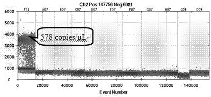 Primer probe, kit and method for accurate and quantitative detection of specific gene component of transgenic rice oryza sativa l line